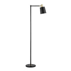 60-inch Industrial Modern Black Metal Floor Lamp with Gold Accents-0